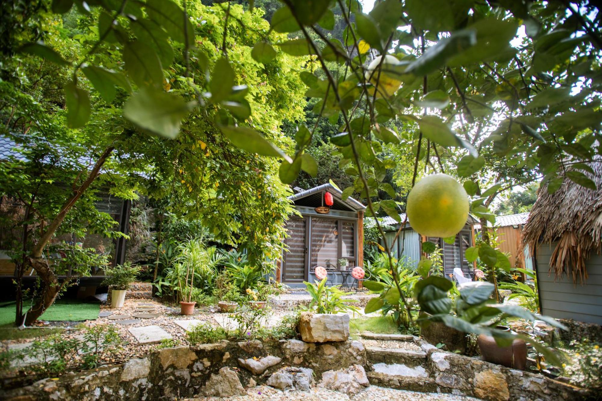 Hoang Minh Mountainside Villa Ninh Binh Dış mekan fotoğraf